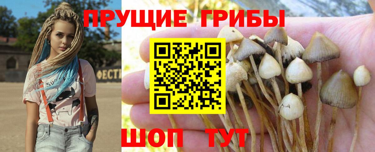 Коряжма  Галлюциногенные грибы ЛСД  цена   Вход с VPN 